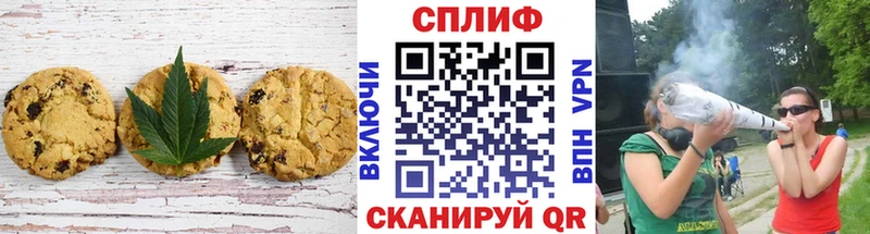 MEGA рабочий сайт  Кизляр  Canna-Cookies конопля  наркошоп 