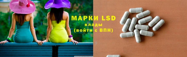 ПСИЛОЦИБИНОВЫЕ ГРИБЫ Абаза