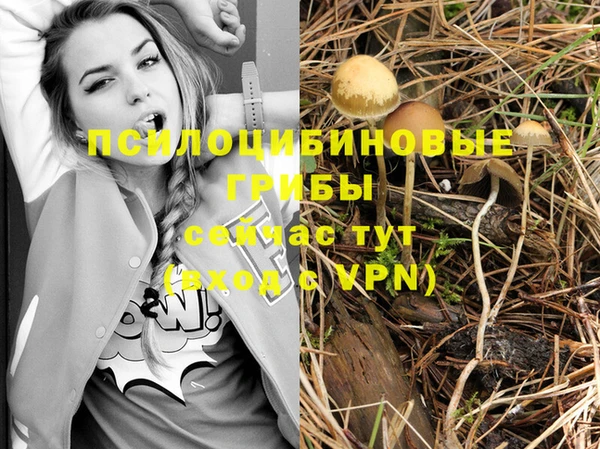 apvp Абдулино