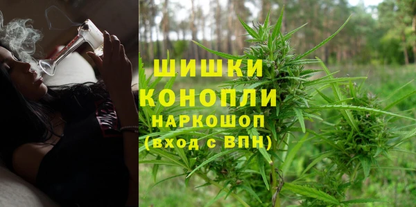 шишки Абинск