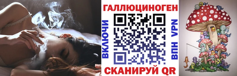 гидра зеркало  Кизляр  Галлюциногенные грибы Cubensis  дарнет шоп 
